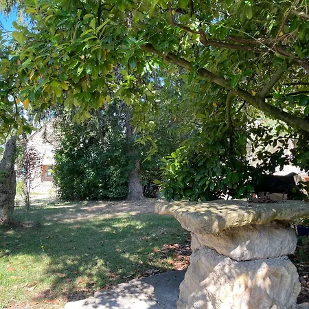 La Petite Maison Dans Le Jardin